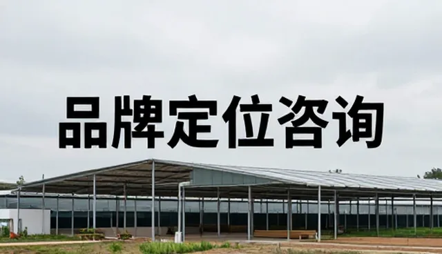 内容策略驱动下的品牌传播新趋势